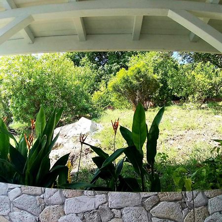 Villa Cana Et Son Spa A Terre De Haut Bagian luar foto