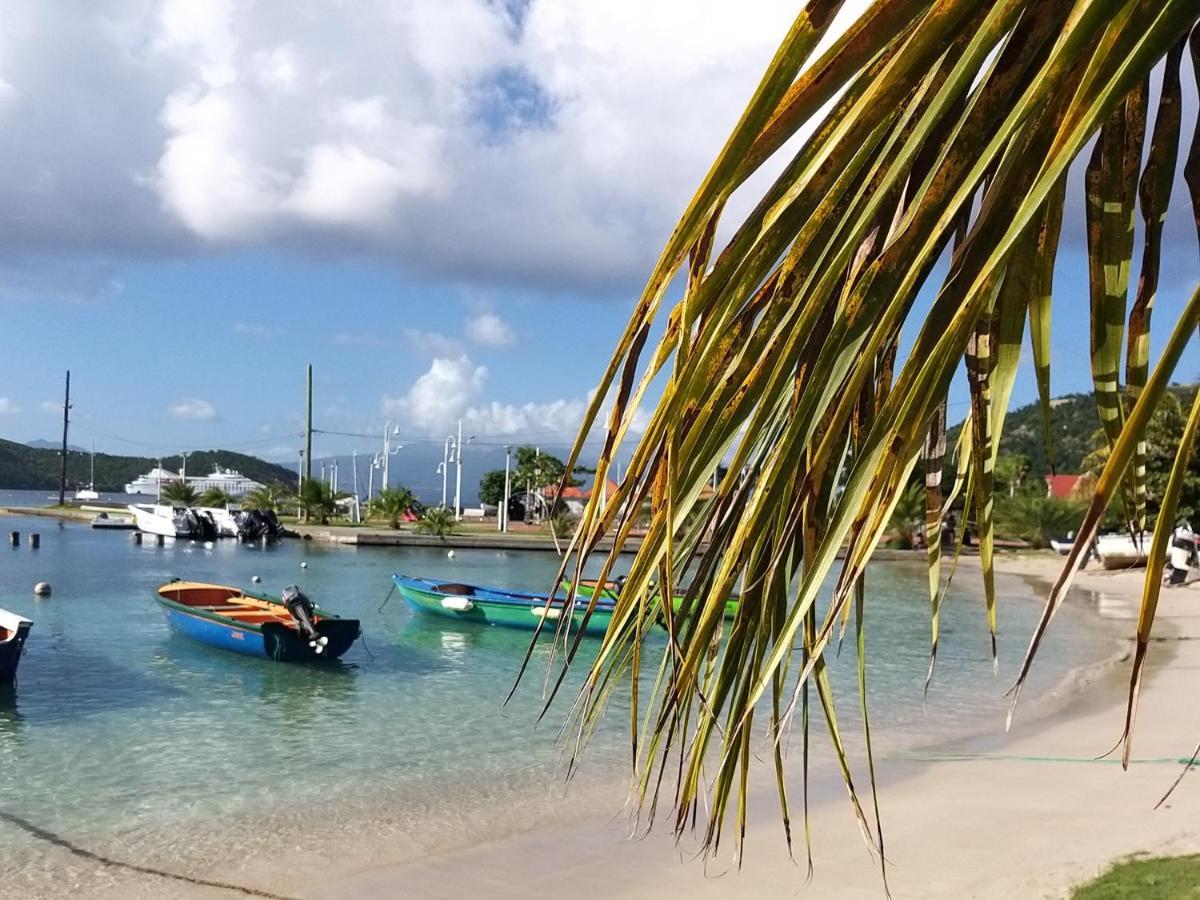 Villa Cana Et Son Spa A Terre De Haut Bagian luar foto