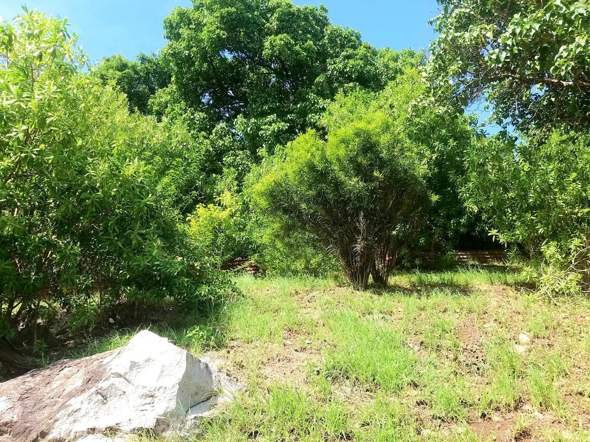 Villa Cana Et Son Spa A Terre De Haut Bagian luar foto
