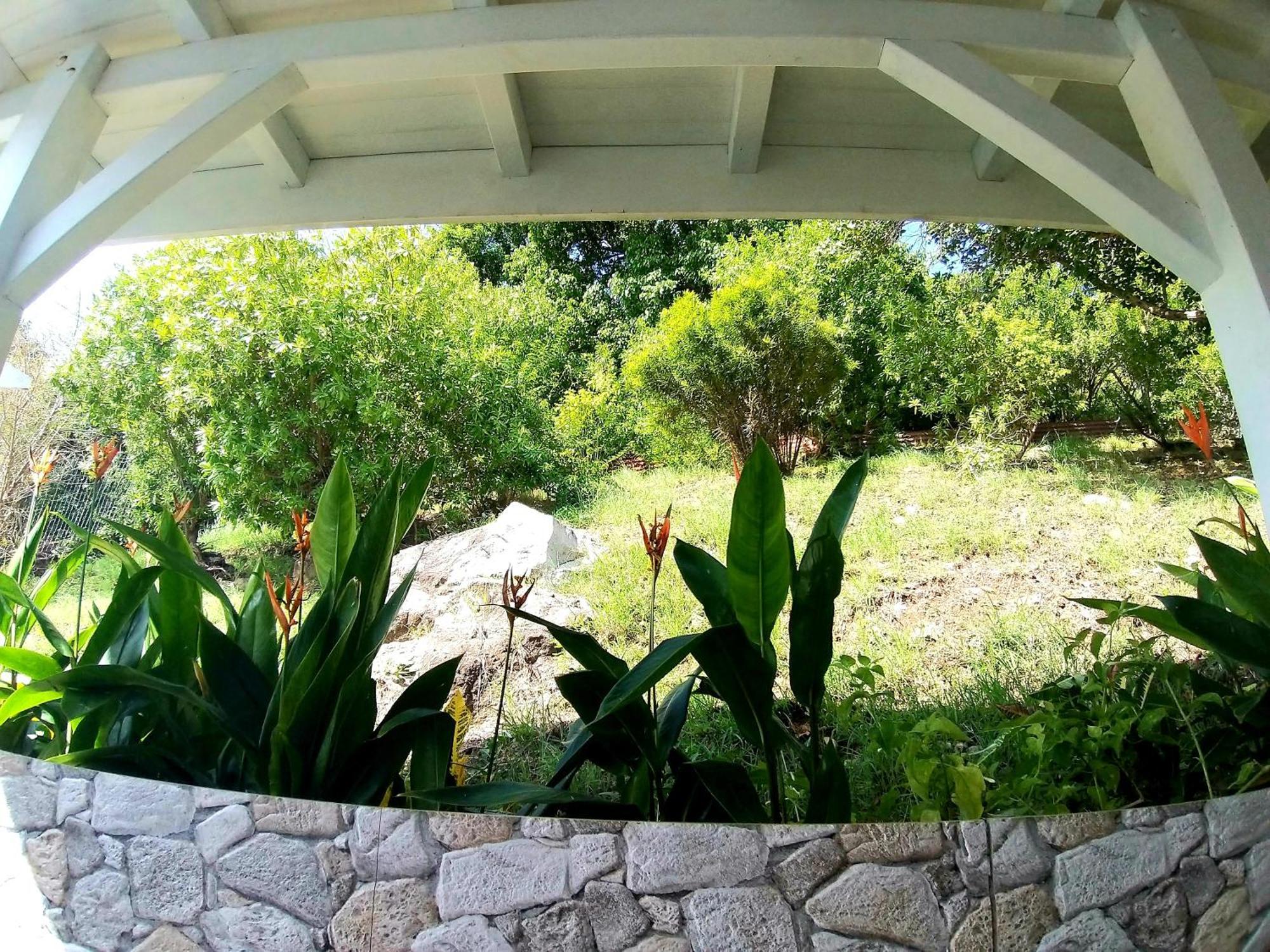 Villa Cana Et Son Spa A Terre De Haut Bagian luar foto